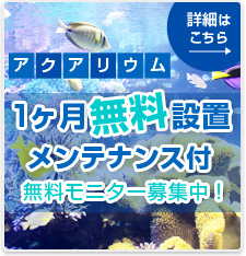 1ヶ月無料設置メンテナンス付き 無料モニター募集中